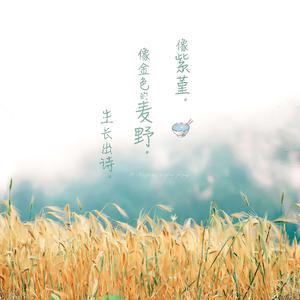 一本大道免费手机高清视频
